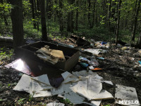Туляки: Щегловская засека превращается в свалку мусора, Фото: 4
