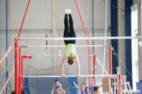 Соревнования по художественной гимнастике, Фото: 32