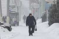 Снежный апокалипсис в Туле: фоторепортаж с улиц города, Фото: 27