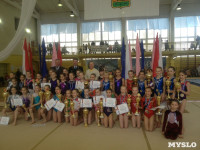 Туляки на соревнованиях по спортивной гимнастике в Брянске., Фото: 7