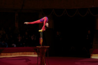 В Туле пройдет Международный детский и молодежный цирковой фестиваль «На языке мира», Фото: 11