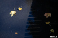 Золотая осень по-тульски, Фото: 43