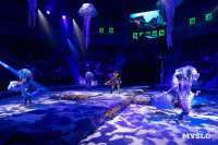 Цирковое шоу Жар птица, Фото: 118