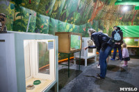 Передвижной зоопарк в Туле, Фото: 10