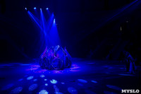 Шоу фонтанов «13 месяцев» в Тульском цирке – подарите себе и близким путевку в сказку!, Фото: 96