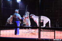 Цирк "Максимус" и тигрица в гостях у Myslo, Фото: 29