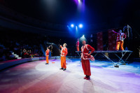 Успейте посмотреть шоу «Новогодние приключения домовенка Кузи» в Тульском цирке, Фото: 85
