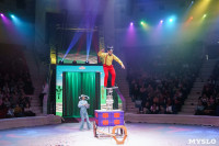 Искусство иллюзии и вера в чудо: в Тульском цирке стартовала программа «Загадка старой игрушки», Фото: 33