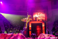 Искусство иллюзии и вера в чудо: в Тульском цирке стартовала программа «Загадка старой игрушки», Фото: 53