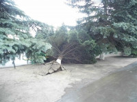Ураган в Плавске, Фото: 1