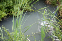 В реку Иншинку несколько лет стекает канализация, Фото: 1