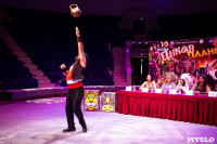 Новое шоу «Дикая планета» в Тульском цирке, Фото: 11