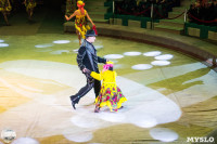 Программа Тропик-шоу в Тульском цирке, Фото: 32