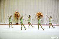 Соревнования по художественной гимнастике "Осенний вальс", Фото: 109