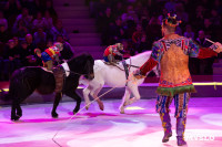 Цирковое шоу Жар птица, Фото: 137