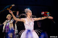 Шоу фонтанов «13 месяцев»: успей увидеть уникальную программу в Тульском цирке, Фото: 41
