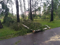 Комсомольский парк после шторма, Фото: 2