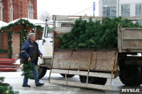 В Туле убирают главную новогоднюю ёлку , Фото: 4