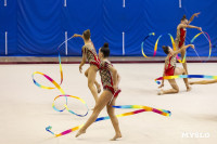 В Туле стартовало первенство Центрального федерального округа по художественной гимнастике, Фото: 6