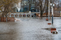 В Туле затопило Баташевский сад, Фото: 30