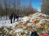 Под Тулой неизвестные сбросили в лесополосе несколько тонн гнилых овощей, Фото: 10