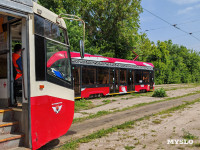 Какой должна быть температура в общественном транспорте, и почему она не всегда соответствует?, Фото: 12