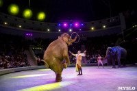 Цирк Инди Ра, Фото: 83