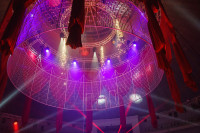 Премьера в Тульском цирке: шоу фонтанов «13 месяцев» удивит вас!, Фото: 2