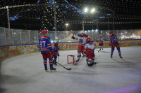 «Академия Михайлова» и Губернский каток 2025, Фото: 41