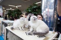 Выставка кошек, Фото: 61