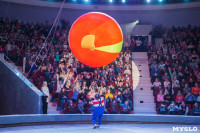 Туляков приглашают на новогоднее представление «Ёлка в цирке», Фото: 57