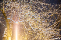 Зимняя сказка в Центральном парке, Фото: 31