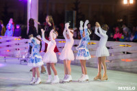 Туляки отметили Старый Новый год ледовым шоу, Фото: 18