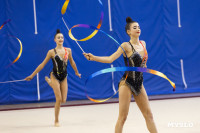 В Туле стартовало первенство Центрального федерального округа по художественной гимнастике, Фото: 63
