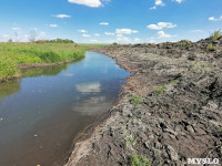 В этом году в Тульской области начали расчистку русел еще трех рек, Фото: 5