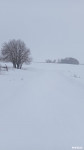 В деревни Красная Слободка: «Больше недели прошло после снегопада, а дороги до сих пор не прочищены», Фото: 2