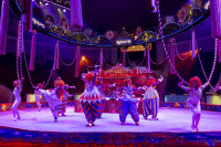 Цирковое шоу 5 континентов , Фото: 33