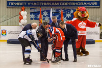 Кубок главы администрации МО г. Новомосковск по хоккею, Фото: 53