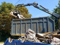 В Туле со двора «Плюшкиной» вывезли несколько грузовиков мусора, Фото: 1