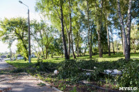 В Баташевском саду из-за непогоды упали вековые деревья, Фото: 15