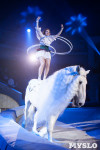 Премьера новогоднего шоу в Тульском цирке, Фото: 53