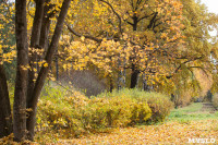 Золотая осень в Ясной Поляне, Фото: 103