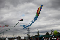 Фестиваль воздушных змеев. День города-2015, Фото: 15