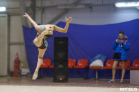 Всероссийский турнир по художественной гимнастике, Фото: 48