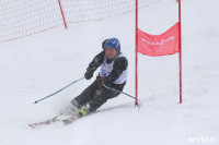 Соревнования по горнолыжному спорту в Малахово, Фото: 109