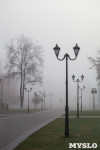 Туман в Туле, Фото: 35