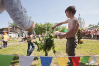 В Тульской области прошел фестиваль крапивы, Фото: 233