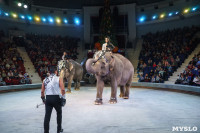 Шоу слонов в Тульском цирке, Фото: 58