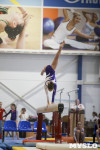 Спортивная гимнастика в Туле 3.12, Фото: 129