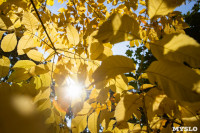 Золотая осень по-тульски, Фото: 47